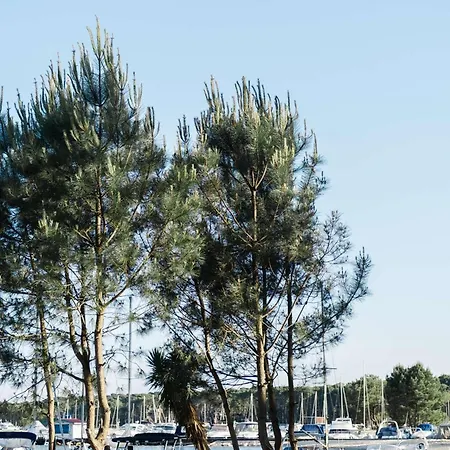 Apartment Bourg - Duplex Avec Terrasse Classe 3 Etoiles