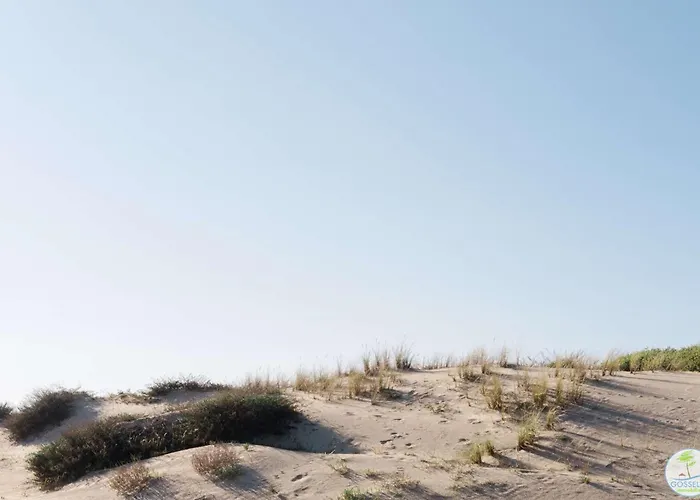 Appartamento Bourg - Duplex Avec Terrasse Classé 3 étoiles