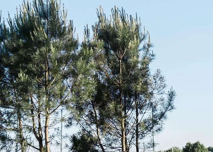 Appartamento Bourg - Duplex Avec Terrasse Classé 3 étoiles