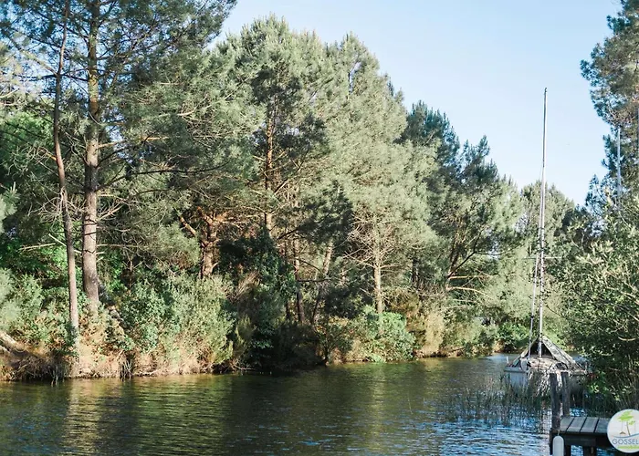Bourg - Duplex Avec Terrasse Classé 3 étoiles Biscarrosse