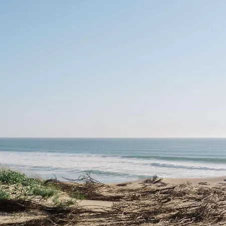 Bourg - Duplex Avec Terrasse Classe 3 Etoiles Biscarrosse