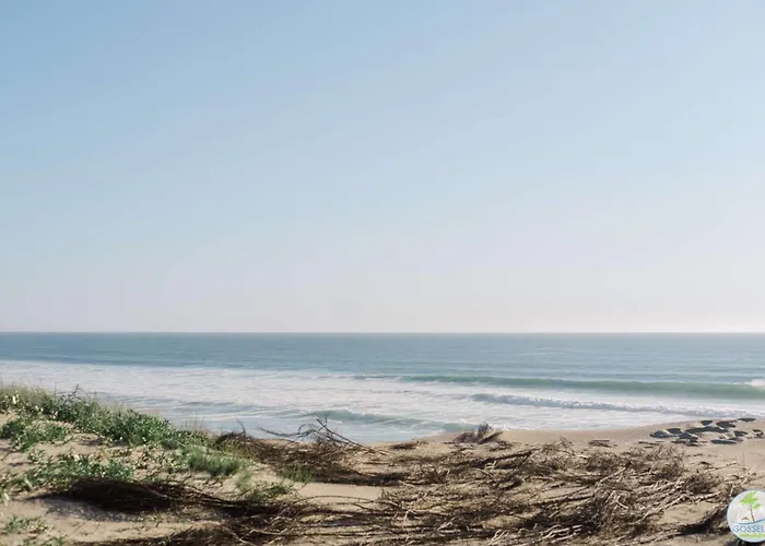 Bourg - Duplex Avec Terrasse Classe 3 Etoiles Biscarrosse