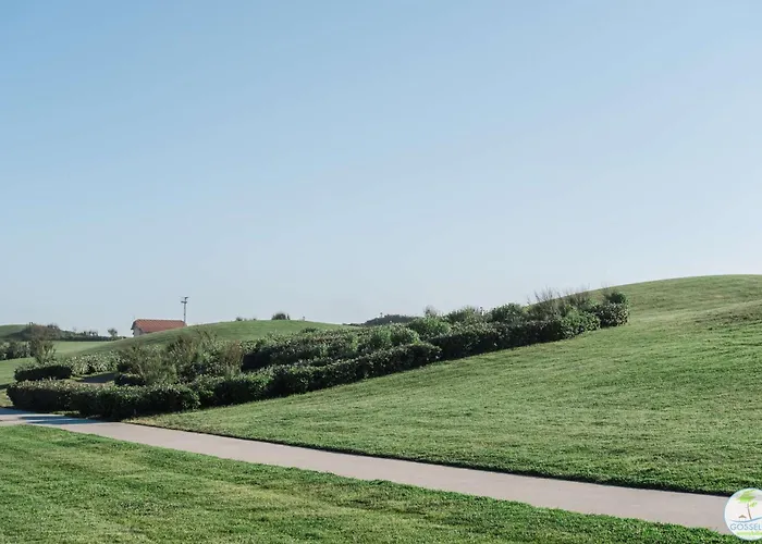 Bourg - Duplex Avec Terrasse Classe 3 Etoiles Biscarrosse