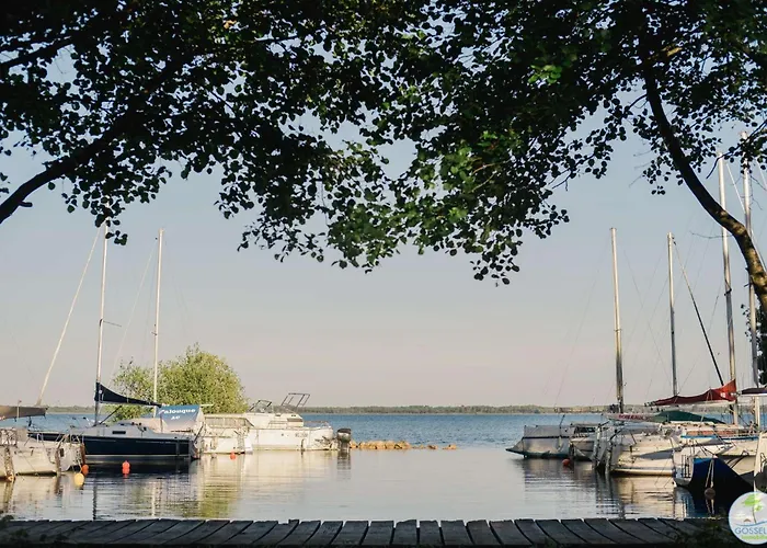 Bourg - Duplex Avec Terrasse Classe 3 Etoiles Biscarrosse