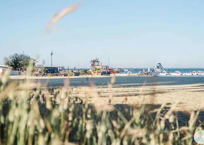 Bourg - Duplex Avec Terrasse Classe 3 Etoiles Biscarrosse